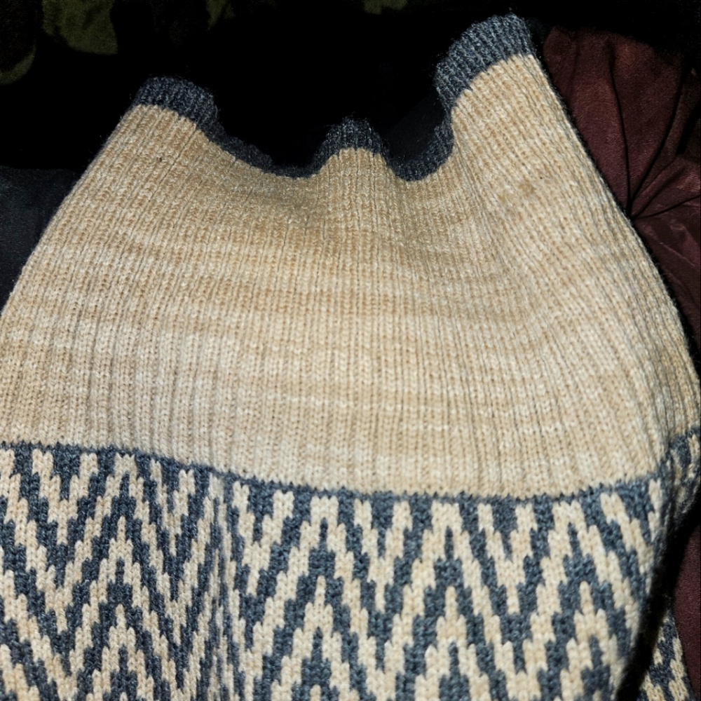 New Dog Sweater !